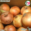 ニコマート 淡路島産 玉ねぎ 2kg×1箱 サイズ混載 兵庫県淡路島産 玉葱 たまねぎ タマネギ 野菜 大きさ 不揃い