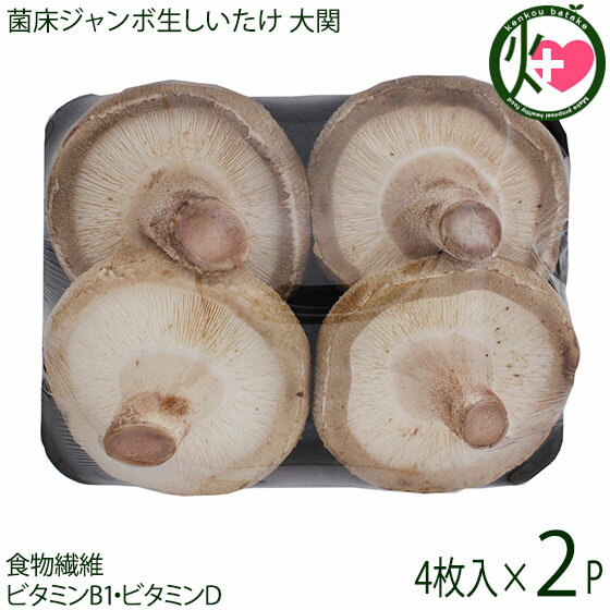 南国きのこ 菌床ジャンボ生しいたけ 大関 直径9～11cm 4枚入×2P 国産 宮崎県産 椎茸 シイタケ きのこ ..