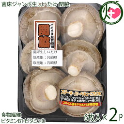 南国きのこ 菌床ジャンボ生しいたけ 関脇 直径7～9cm 6枚入×2P 国産 宮崎県産 椎茸 シイタケ きのこ 宮崎県ひなたGAP認証