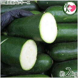 沖縄県産 ズッキーニ 約2kg 沖縄の野菜