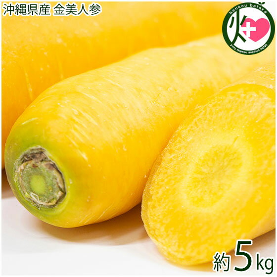 沖縄県産 金美人参 5kg 野菜 人参