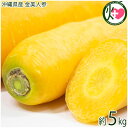 沖縄県産 金美人参 5kg 野菜 人参