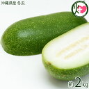 沖縄県産 冬瓜 2kg