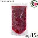 アセローラフレッシュ アセローラピューレ 100g×15P 無農薬栽培 沖縄