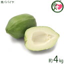 【名称】青パパイヤ（青果） 【内容量】2kg未満 (箱込みでMAX2kg)×2箱 【賞味期限】到着後3週間 【原材料】沖縄県産青パパイヤの実 【保存方法】・新聞紙などにくるみ、乾燥しないようビニール袋などに入れ直射日光を避け、冷暗所に保存。...