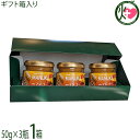 Mtg Honey Fusion }kJnj[}S[ 50g~3r