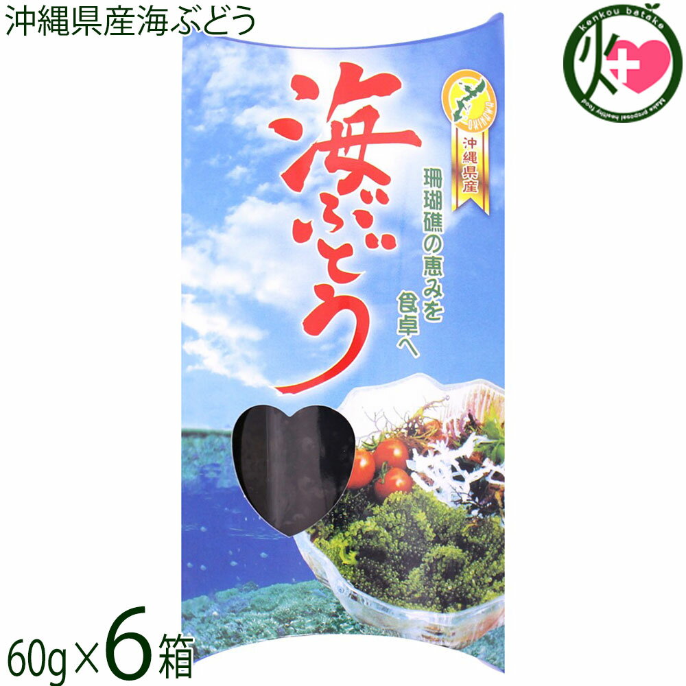 県産海ぶどう 60g×6箱