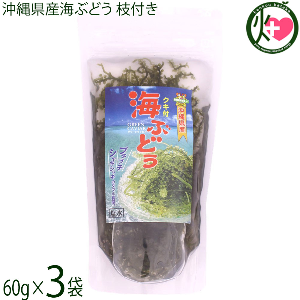 【内容量】60g×3P 【賞味期限】製造日より150日　※未開封時　開封後はお早めにお召し上がりください。 【原材料】海ぶどう(沖縄県産)、塩 【保存方法】高温多湿を避け常温保存してください。 【お召上がり方】1.海ぶどうを袋から出して、ざる等に移して水気を切ります。2.適量を水に浸し、戻します。海ぶどうが、みるみる踊るように成長していきます。3.軽く水ですすぎますとプチプチと歯ごたえのある海藻に戻ります。4.お皿に盛り付けお好みで酢醤油、ぽん酢または、ドレッシング等を小皿等に入れつけてお召し上がりください。※直接かけると萎んでしまいプチプチ感を失います。【栄養成分表示】100g当り エネルギー 4.0kcal　たんぱく質 0.5g　脂 質 0.1g　炭水化物 1.2g　食塩相当量 0.3g　推定値【JANコード】4992957000706 【販売者】株式会社オリーブガーデン（沖縄県国頭郡恩納村） メーカー名 平良商店 原産国名 日本 産地直送 沖縄県 商品説明 沖縄産の海ぶどうを使用した塩水漬け海ぶどう60gパック入り、生の海ぶどうは、賞味期限が短いですが塩水漬けは、長めの賞味期限ですので、ご家庭や店舗で。 安全上のお知らせ 稀に稚エビや他の海藻類が混ざる場合がございます。洗い流せば問題はございませんが、エビアレルギーの方は、十分お気をつけください。ネコポス便で配送予定です着日指定：×不可 ギフト：×不可 ※生産者より産地直送のため、他商品と同梱できません。※納品書・領収書は同梱できません。　領収書発行は注文履歴ページから行えます。 こちらの商品は全国送料無料です