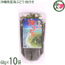 県産海ぶどう枝付き 60g×10袋