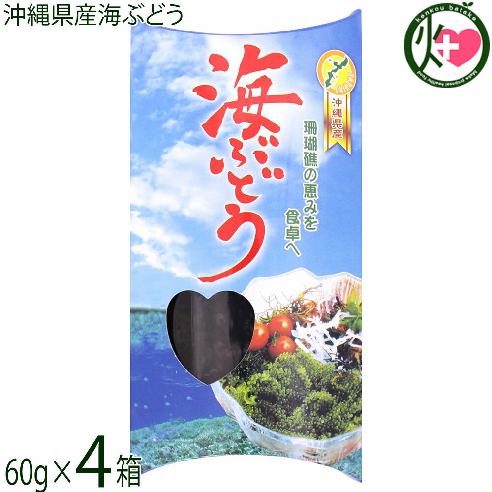 【名称】塩水入り海ぶどう 【内容量】60g×4箱 【賞味期限】製造日より150日　※未開封時　開封後はお早めにお召し上がりください。 【原材料】海ぶどう(沖縄県産)、塩 【保存方法】高温多湿を避け常温保存してください。 【お召上がり方】1.海ぶどうを袋から出して、ざる等に移して水気を切ります。2.適量を水に浸し、戻します。海ぶどうが、みるみる踊るように成長していきます。3.軽く水ですすぎますとプチプチと歯ごたえのある海藻に戻ります。4.お皿に盛り付けお好みで酢醤油、ぽん酢または、ドレッシング等を小皿等に入れつけてお召し上がりください。※直接かけると萎んでしまいプチプチ感を失います。【栄養成分表示】100g当り エネルギー 4.0kcal　たんぱく質 0.5g　脂 質 0.1g　炭水化物 1.2g　食塩相当量 0.3g　推定値【JANコード】4992957000034 【販売者】株式会社オリーブガーデン（沖縄県国頭郡恩納村） メーカー名 平良商店 原産国名 日本 産地直送 沖縄県 商品説明 沖縄産の海ぶどうを使用した塩水漬け海ぶどう60g箱入り、生の海ぶどうは、賞味期限が短いですが塩水漬けは、長めの賞味期限ですのでお土産にお勧めです。 安全上のお知らせ 稀に稚エビや他の海藻類が混ざる場合がございます。洗い流せば問題はございませんが、エビアレルギーの方は、十分お気をつけください。ネコポス便で配送予定です着日指定：×不可 ギフト：×不可 ※生産者より産地直送のため、他商品と同梱できません。※納品書・領収書は同梱できません。　領収書発行は注文履歴ページから行えます。 こちらの商品は全国送料無料です