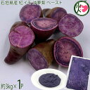 やえやまファーム 石垣島産 紅イモ 沖夢紫 ペースト 3kg×1P 沖縄 沖縄県産紅芋 ペースト 和菓子 洋菓子 材料