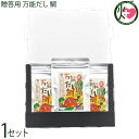 ギフト 福津いいざい 万能だし 鯛 8g×10P×贈答用3袋セット