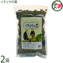 比嘉製茶 イチョウの葉 100g×2袋 お茶 茶葉 ギンコライド ビロバライト