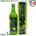 沖縄アロエ 沖縄の自然に育まれたシークヮーサー果汁100% 500ml×1本 沖縄 シークワーサー ジュース 果汁 ノビレチン(4)