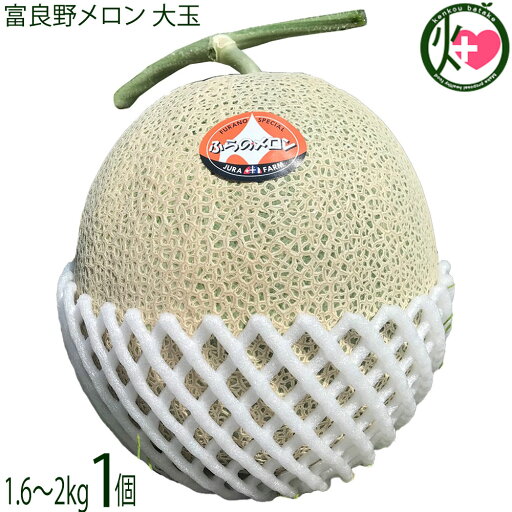 とろける甘さの夏ギフト 富良野メロン 赤肉 大玉 1.6kg~2.0kg×1玉 計約2キロ とろける甘さの夏ギフト 富良野メロン 赤肉 大玉 1.6kg~2.0kg×1玉 計約2キロ