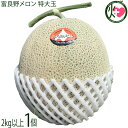 とろける甘さの夏ギフト 富良野メロン 赤肉 特大玉 2kg以上×1玉