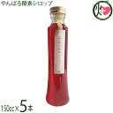 森岡農園 やんばる酵素シロップ 150cc×5本