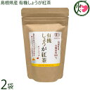 茶三代一 島根県産 有機しょうが紅茶ティーバッグ (2g×8p)×2袋