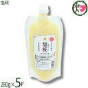仲宗根糀家 塩こうじ 280g×5P 調味料