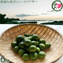 サンチャイルド農園 朝摘み青切りシークヮーサー 6kg(約240個〜330個)