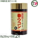 沖縄ウコン販売 沖縄県産 春ウコン粒 80g(200mg×400粒)×2個 春ウコン100%使用
