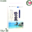 高江洲製塩所 浜比嘉塩 100g×1袋 沖縄県産 天日 平釜