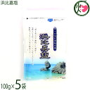 高江洲製塩所 浜比嘉塩 100g×5袋 沖縄県産 天日 平釜