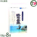 高江洲製塩所 浜比嘉塩 100g×8袋 沖縄県産 天日 平釜