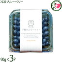 堀うち農園 冷凍ブルーベリー90g×3P 無農薬栽培