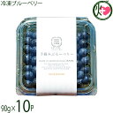 堀うち農園 冷凍ブルーベリー90g×10P 無農薬栽培