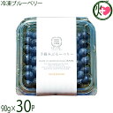 堀うち農園 冷凍ブルーベリー90g×30P 無農薬栽培
