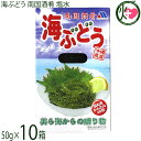 メックインターナショナル 南国酒肴 海ぶどう 50g×10箱 沖縄県産