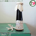 沖縄ジンジャーシロップ 石垣島 ゆきさんのにごり黒糖ジンジャーシロップ 120ml×2本