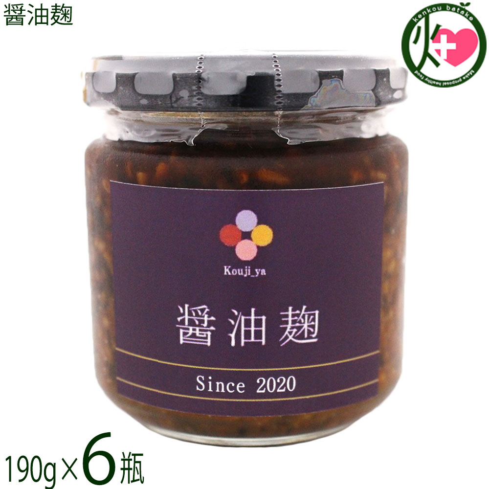   190g6 