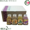 渡具知 飲むげんまい ギフトセット(黒ごめ黒ごま・よもぎ・べにいも・黒糖 各3本 12本入り)×2箱(4)