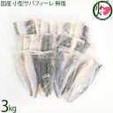 シーライフ 国産 小型サバフィーレ 無塩 3kg