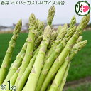 春芽 アスパラガス 1kg L-Mサイズ混合