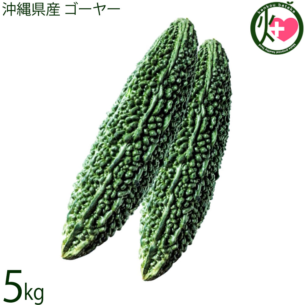 沖縄県産 ゴーヤー 約5kg 沖縄 苦瓜
