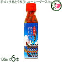 大幸商事 手づくり 島とうがらしコーレーグース ヒハツ入 120ml×6本