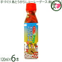 大幸商事 手づくり 島とうがらしコーレーグース 島にんにく入 120ml×6本