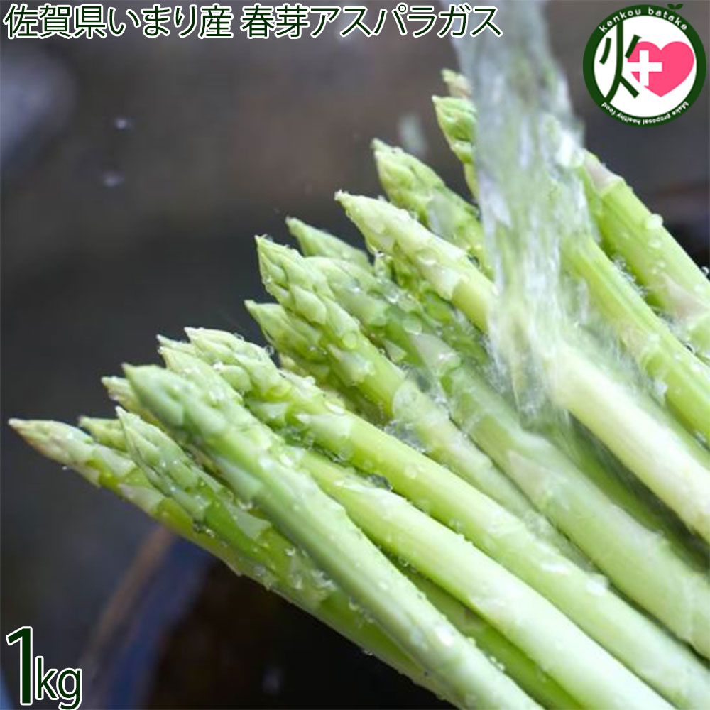 うめむら農園 佐賀県いまり産 春芽アスパラガス 1kg