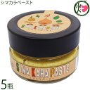 沖縄アロエ シマカラペースト 100g×5瓶