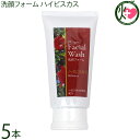 沖縄ウコン販売 洗顔フォーム ハイビスカス 100g×5本