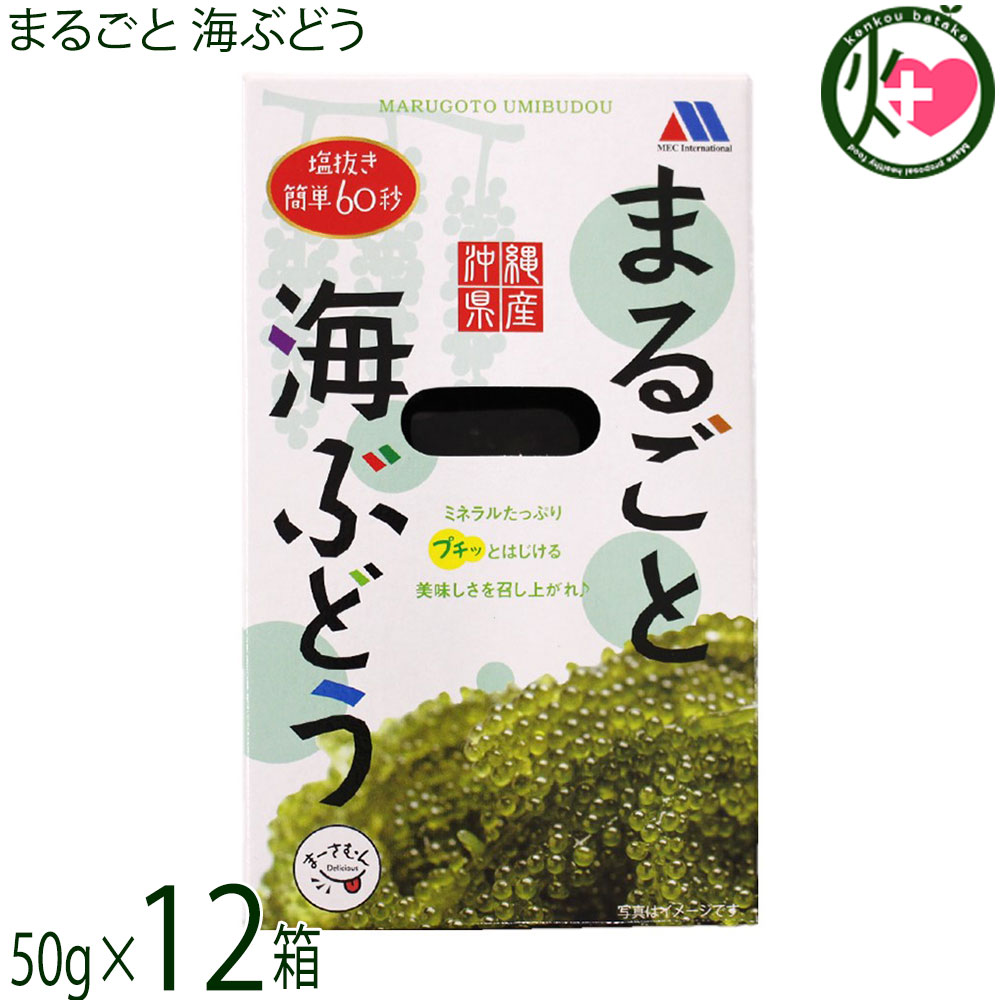 メックインターナショナル まるごと 海ぶどう 50g×12箱 沖縄県産 塩抜き簡単60秒