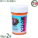 比嘉製茶 紫ウコン粉(容器入) 100g×2個 沖縄 紫ウコン100%