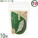 カヨコーポレーション 塩彩 ゴーヤー塩 袋 100g×10袋