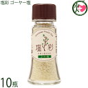 カヨコーポレーション 塩彩 ゴーヤー塩 卓上瓶 20g×10瓶