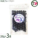 堀うち農園 冷凍ブルーベリー200g×3袋 無農薬栽培