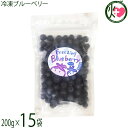 堀うち農園 冷凍ブルーベリー200g×15袋 無農薬栽培