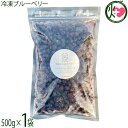 堀うち農園 冷凍ブルーベリー500g×1袋 無農薬栽培